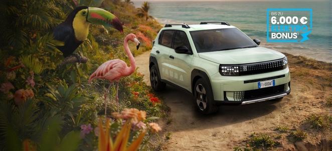 Fiat Grande Panda - Stellantis &You