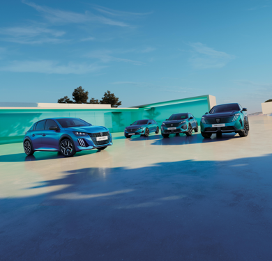 Peugeot - Stellantis &You Peugeot - Stellantis &You