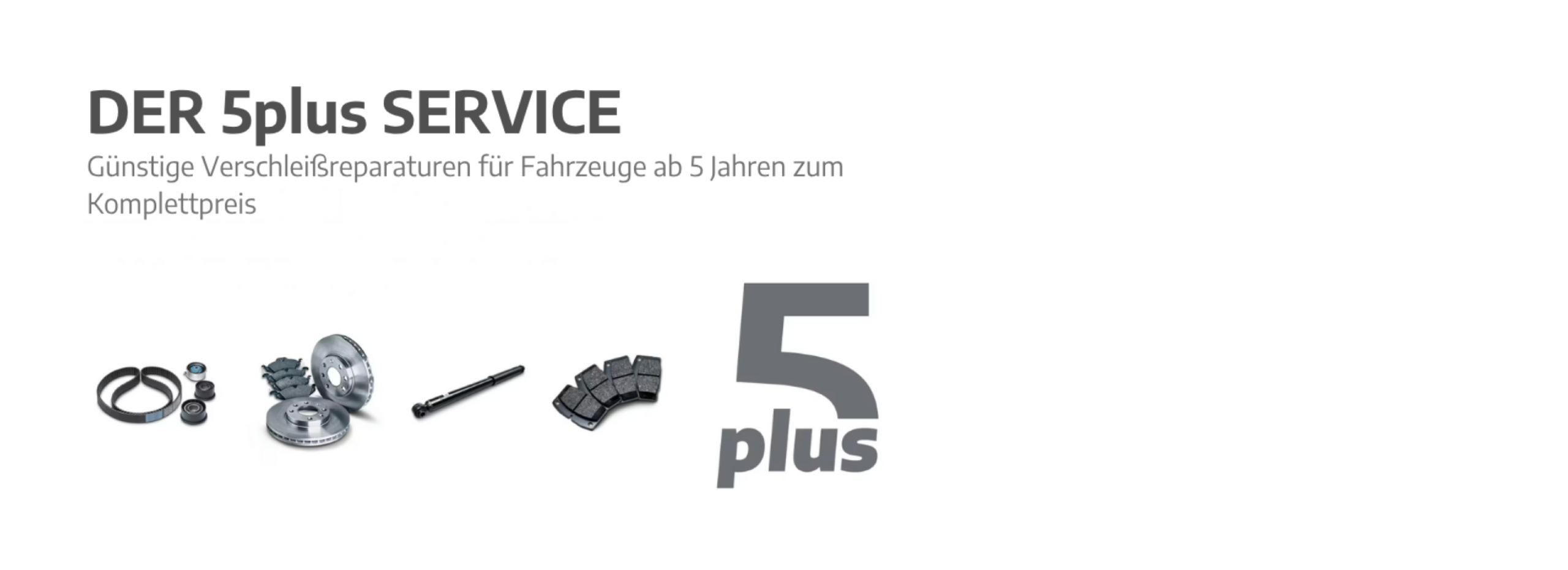 Der 5plus Service