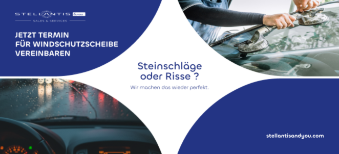 Windschutzscheibe - Stellantis &You 