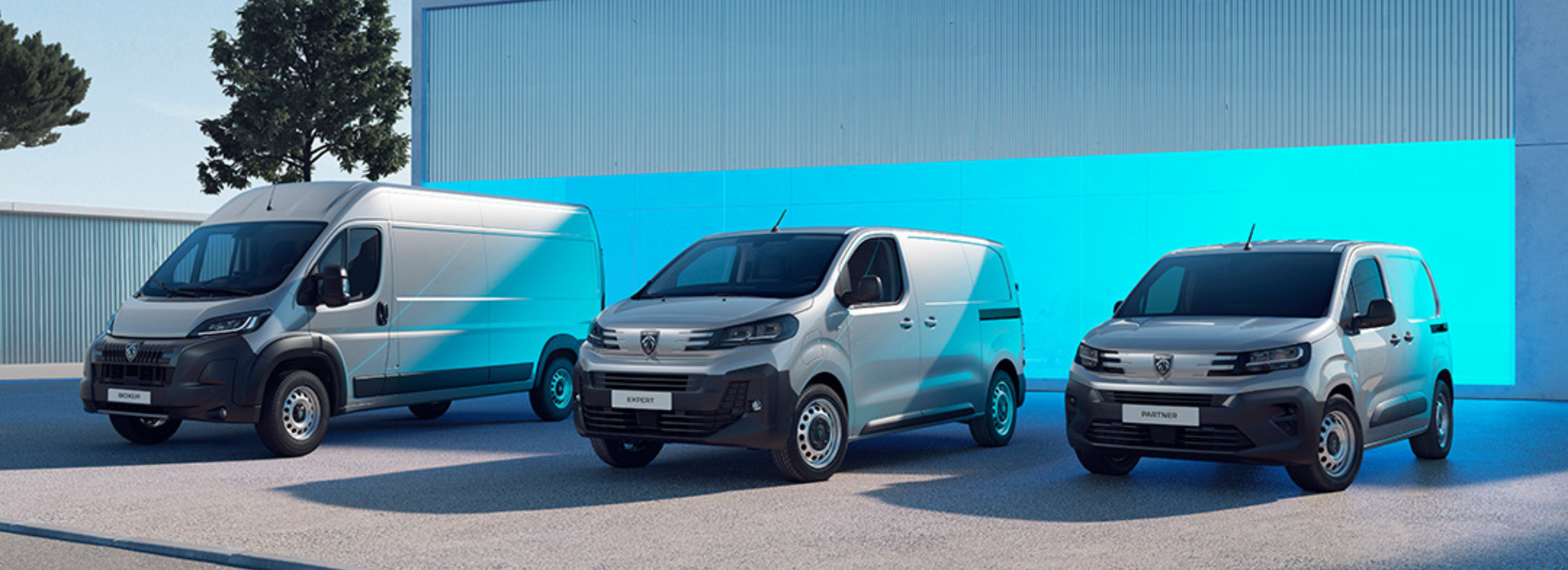 Peugeot Días Profesional