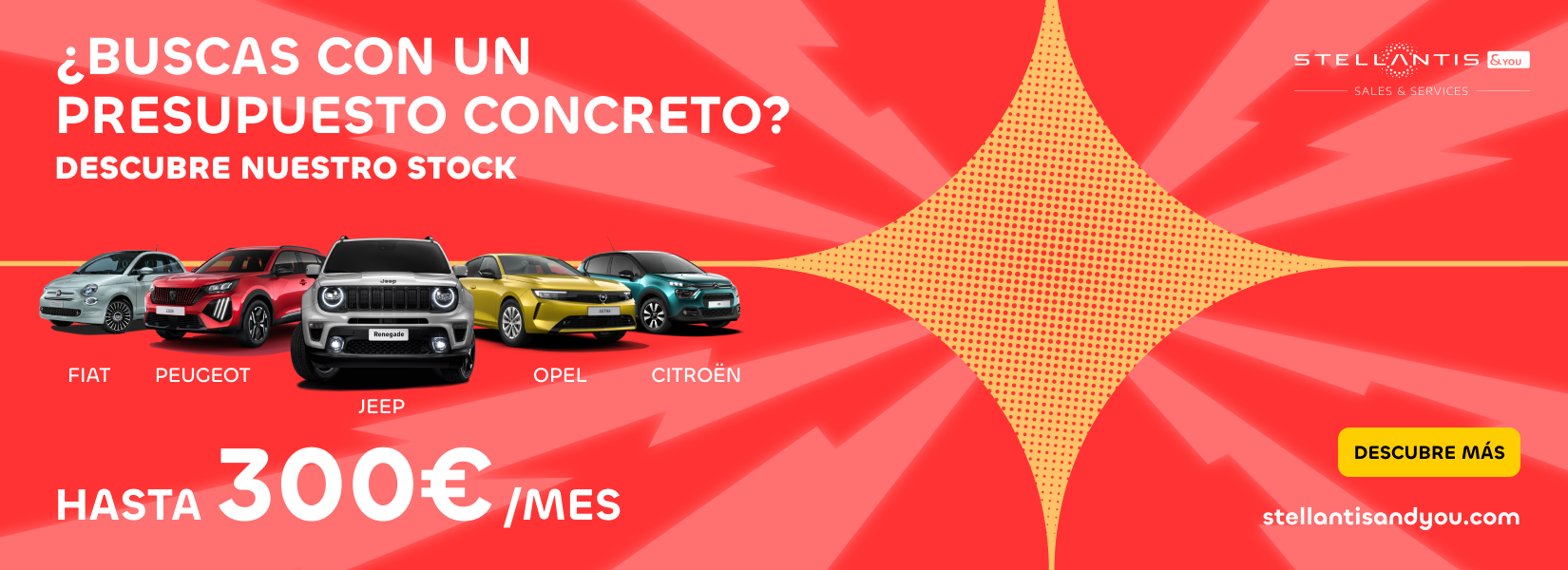 Estrena coche por menos de 300 € al mes